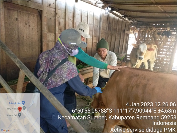 Research on the Impact of Foot and Mouth Disease (FMD) in Rembang Regency